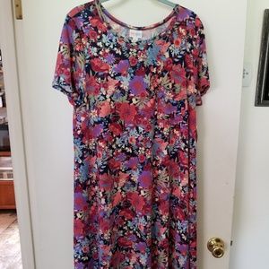 LuLaRoe Carley dress sz L
